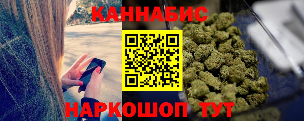 Каннабис конопля Отрадный
